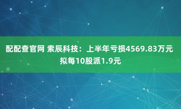 配配查官网 索辰科技：上半年亏损4569.83万元 拟每10股派1.9元