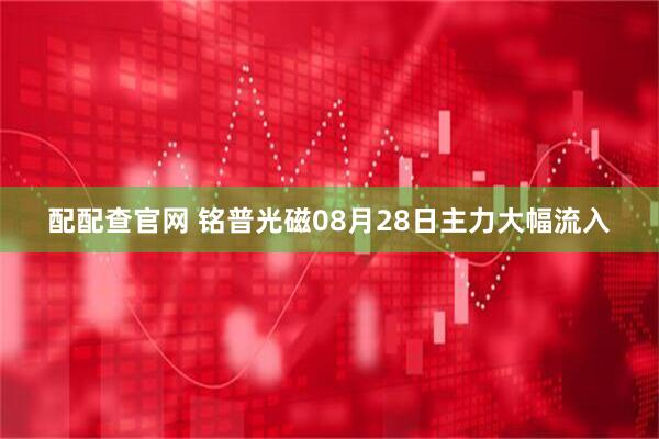 配配查官网 铭普光磁08月28日主力大幅流入