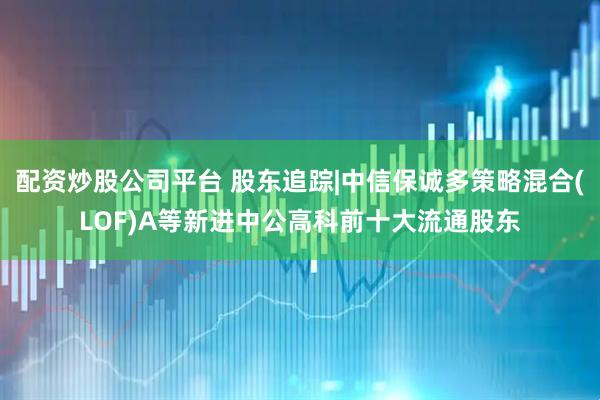 配资炒股公司平台 股东追踪|中信保诚多策略混合(LOF)A等新进中公高科前十大流通股东
