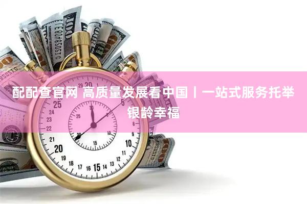 配配查官网 高质量发展看中国丨一站式服务托举银龄幸福