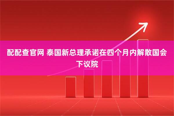 配配查官网 泰国新总理承诺在四个月内解散国会下议院