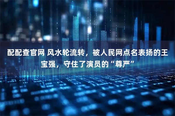 配配查官网 风水轮流转，被人民网点名表扬的王宝强，守住了演员的“尊严”